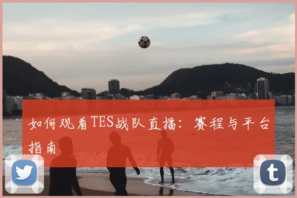 如何观看TES战队直播：赛程与平台指南