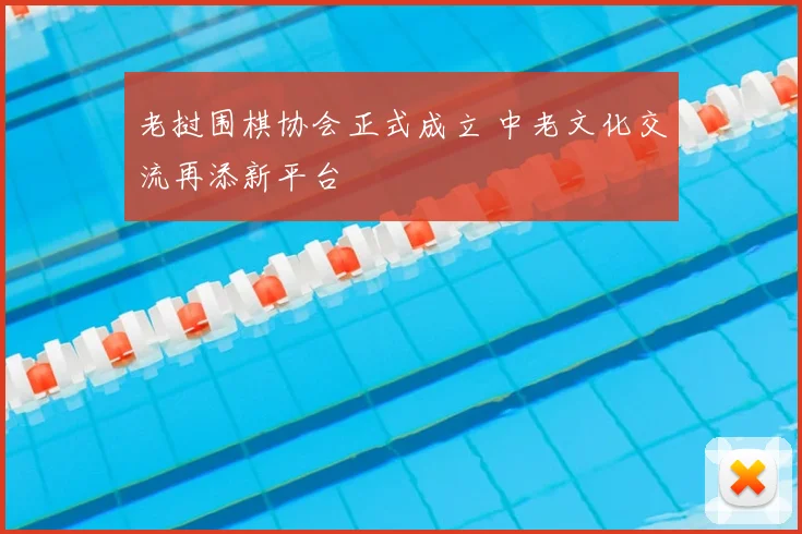 老挝围棋协会正式成立 中老文化交流再添新平台
